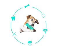 Happyyami Lake Blue Dog Molar Rod Sturdy Toothbrush Chew Toy for Teeth Care Interactive Pet Play Food-grade Tpr for Home and Use