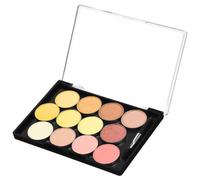 Happyyami Magnetic Eyeshadow Palette Lightweight Makeup Case with Transparent Cover Design for Easy Organization Portable and Durable for Travel Use