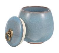 Happyyami Pet Urn Cat Memorial Pet Ashes Memorial Necklace for Ashes Dog Comb Animals Urns for Human Ashes Dad Urn Cremation Cat Urns for Ashes Pet Loss Cat Carrier Male Ceramics Sky-blue