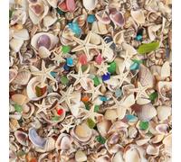 HAPYSHOOP Tiny Sea Shells for Crafting,7 Ounces Mixed Mini Seashells with Sea Glass 20 Pcs Starfish for Decorating,Small Shells for Craft,Beach Themed Party Wedding,Fish Tank Vase Filler