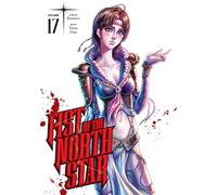 Hara, Tetsuo - Fist of the North Star, Vol. 17: Volume 17
