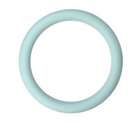 harayaa 10lbs Weight Portable Non Slip Professional Weighted Circle, Kettlebell for Core Training, Strength Training, light green