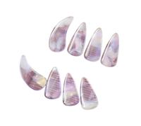 harayaa 8 Pieces Guzheng Finger Picks Compact Nail Covers Ergonomic Finger Nail Protectors Smooth Edge Comfortable Suitable for String Instrument Performance, style C