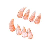 harayaa 8 Pieces Guzheng Finger Picks Compact Nail Covers Ergonomic Finger Nail Protectors Smooth Edge Comfortable Suitable for String Instrument Performance, style E