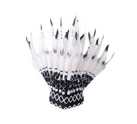 harayaa American Chief Indian Native Hat Headband Decoration Headpiece Men Women Feather Headdress Headwear for Halloween Mardi Gras (white)