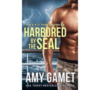 Harbored by the SEAL: Volume 3 (HERO Force)