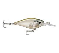 Hard carnivorous lure Rapala X-light Shad Gris 4 cm