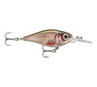 Hard carnivorous lure Rapala X-light Shad Marron 4 cm