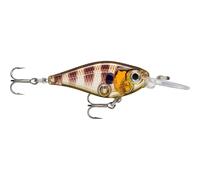 Hard carnivorous lure Rapala X-light Shad Marron 4 cm