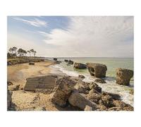 Hard Difficult Challenging Puzzle for Teens 500pc Jigsaw Puzzles-Beach,Sea,Ruins,Trees,Landscape 52x38cm