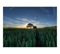Hard Difficult Challenging Puzzle for Teens 500pc Jigsaw Puzzles-Ears,tree,summer 52x38cm
