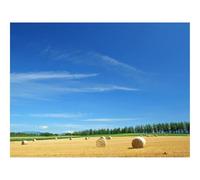 Hard Difficult Challenging Puzzle for Teens 500pc Jigsaw Puzzles-Field,economy,hay 52x38cm