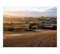 Hard Difficult Challenging Puzzle for Teens 500pc Jigsaw Puzzles-Field,trees,hills 52x38cm