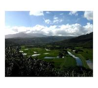 Hard Difficult Challenging Puzzle for Teens 500pc Jigsaw Puzzles-Fields,water,agriculture 52x38cm
