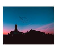 Hard Difficult Challenging Puzzle for Teens 500pc Jigsaw Puzzles-Flock,birds,night 52x38cm