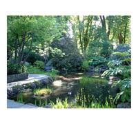 Hard Difficult Challenging Puzzle for Teens 500pc Jigsaw Puzzles-Garden,Pond,Trees,Shadows,Light,Water 52x38cm