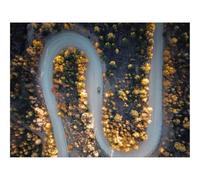 Hard Difficult Challenging Puzzle for Teens 500pc Jigsaw Puzzles-Road,Car,Aerial View,Trees,Turn 52x38cm