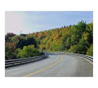 Hard Difficult Challenging Puzzle for Teens 500pc Jigsaw Puzzles-Road,Trees,Shadows,Turn 52x38cm