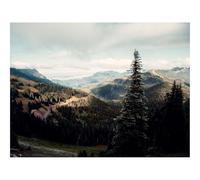 Hard Difficult Challenging Puzzle for Teens 500pc Jigsaw Puzzles-Spruce,Tree,Hills,Relief 52x38cm