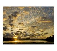 Hard Difficult Challenging Puzzle for Teens 500pc Jigsaw Puzzles-Sun,Horizon,Morning,Fog 52x38cm