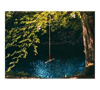 Hard Difficult Challenging Puzzle for Teens 500pc Jigsaw Puzzles-Swing,Rope,Tree,Branches,River 52x38cm