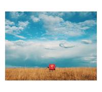 Hard Difficult Challenging Puzzles for Adults 1000pc Puzzle-Armchair,field,lonely 70x50cm