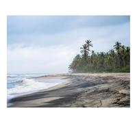 Hard Difficult Challenging Puzzles for Adults 1000pc Puzzle-Beach,sea,palm,trees 70x50cm