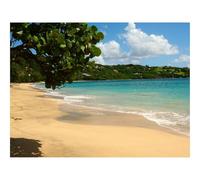 Hard Difficult Challenging Puzzles for Adults 1000pc Puzzle-Beach,tropics,sea 70x50cm