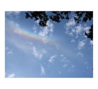 Hard Difficult Challenging Puzzles for Adults 1000pc Puzzle-Branches,clouds,rainbow 70x50cm