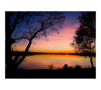 Hard Difficult Challenging Puzzles for Adults 1000pc Puzzle-Decline,trees,outlines 70x50cm