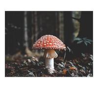 Hard Difficult Challenging Puzzles for Adults 1000pc Puzzle-Fly,agaric,mushroom,fall 70x50cm
