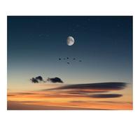 Hard Difficult Challenging Puzzles for Adults 1000pc Puzzle-Full,moon,birds,desert 70x50cm