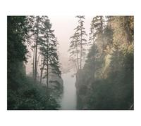 Hard Difficult Challenging Puzzles for Adults 1000pc Puzzle-Gorge,river,fog 70x50cm