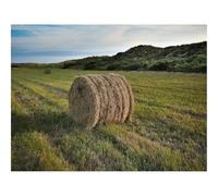 Hard Difficult Challenging Puzzles for Adults 1000pc Puzzle-Hay,Field,Nature,Landscape 70x50cm