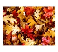 Hard Difficult Challenging Puzzles for Adults 1000pc Puzzle-Leaves,Yellow,Red,Oak,Maple,Autumn 70x50cm