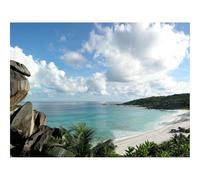 Hard Difficult Challenging Puzzles for Adults 1000pc Puzzle-Stones,Coast,Palm Trees,Tropics,Equator 70x50cm