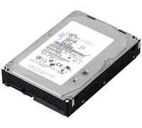 Hard Drive IBM 43X0805 42C0242 HUS156030VLS600 300GB 15K 64MB SAS-2 3.5'' Inch