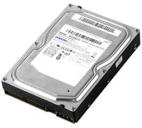 Hard Drive Samsung Spinpoint T133 HD300LD 300GB 7200RPM 8MB ATA IDE 3.5'' Inch