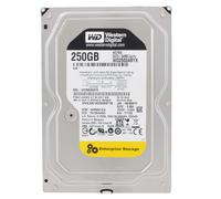 WD 250GB 3.5-inch Enterprise SATA Hard Drive - OEM