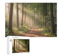 Hard Jigsaw Puzzle for Adults 1000 PCS Sunlit Forest Path Puzzle for Adults Brain Teaser Game Birthday Present Birthday Present, Gifts, 1000 PCS