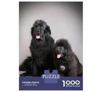 Hard Jigsaw Puzzle for Adults 1000 Pieces Newfoundland Dogs Puzzle for Adults Hands-on Game Difficult Hard Birthday Present, Gifts, 38x26cm/1000pcs