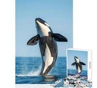 Hard Jigsaw Puzzle for Adults 1000 Pieces Orca Whale Jump Out Water Puzzles for Teenagers Staycation Kill Time Fun Activities at Home Challenging Game Gifts (50x75cm)