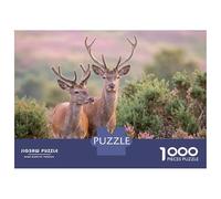 Hard Jigsaw Puzzle for Adults 1000 Pieces Two Red Deer in A Field Jigsaw Anti-Stress Toys Analysis And Logic Birthday Present, Gifts, 52x38cm/1000pcs