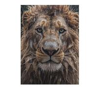 Hard Jigsaw Puzzle for Adults 500 PCS Wet Lion CloseUp Jigsaws for Adults Hands-on Game A Work of Art Great Gift for Gaming 500 PCS