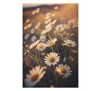 Hard Jigsaw Puzzle for Adults 75x50cm/1000pcs Daisy Field Teenagers Puzzles DIY Toys Difficult Hard Great Gift for Gaming 75x50cm/1000pcs