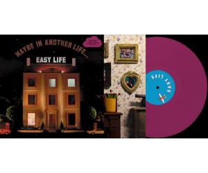 hard life - MAYBE IN ANOTHER LIFE... [VINYL]