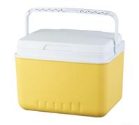 Hard Plastic Cooler Box 6L PP Material Hard Plastic Cooler Box