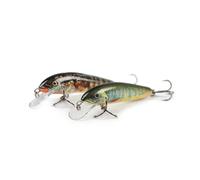 Hard sea lure Salmo Lake Charr 7F 6 g Vert 7 cm
