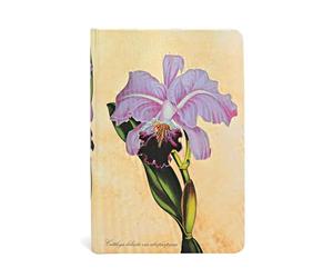 Hardcover Journals, Brazilian Orchid, Lined (Painted Botanicals)