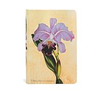 Hardcover Journals, Brazilian Orchid, Unlined (Painted Botanicals)
